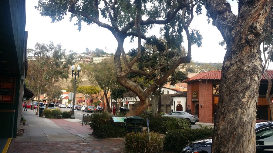 The main shopping street