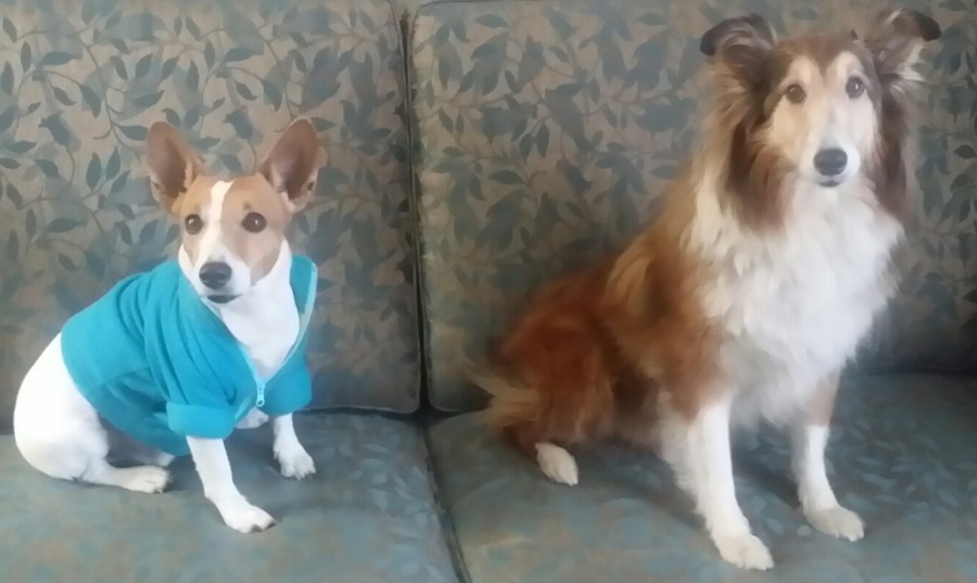 In our hotel room in Oregon