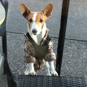 This week at a coffee shop with a friend. Photo: Colleen Kohse