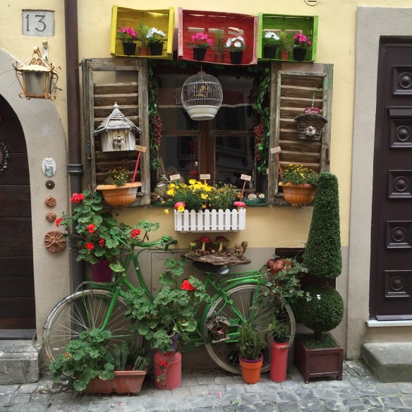 photo: Colleen Kohse