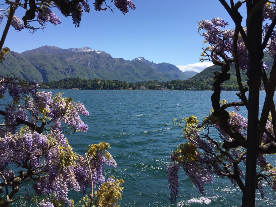 Villa Carlotta, Tremezzo, on Lake Como. photo: Colleen Kohse