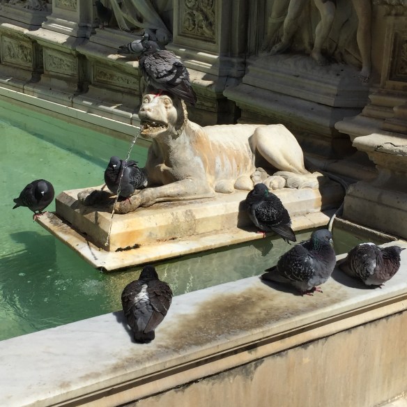 photo: Colleen Kohse