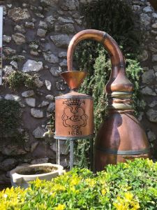 photo: Colleen Kohse