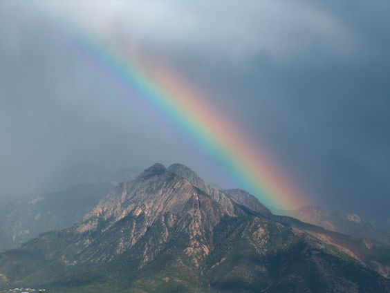 photo: d. king taken from a closed window, Salt lake City, Utah.