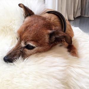  Wouldn't you know it - the one thing I wanted to buy that wasn't for sale!