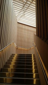 Steps to Second Floor