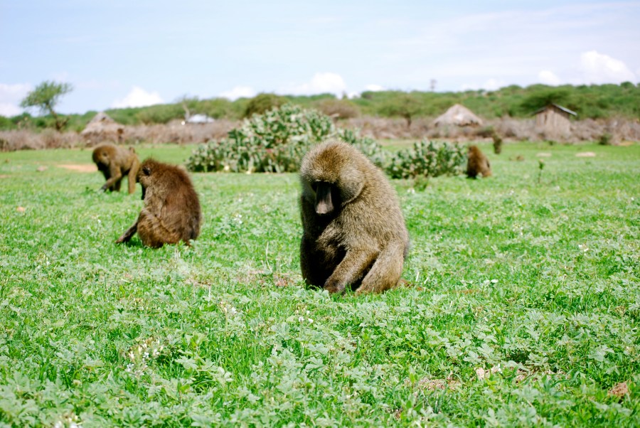 One with nature, love being in the wild or be....wild.