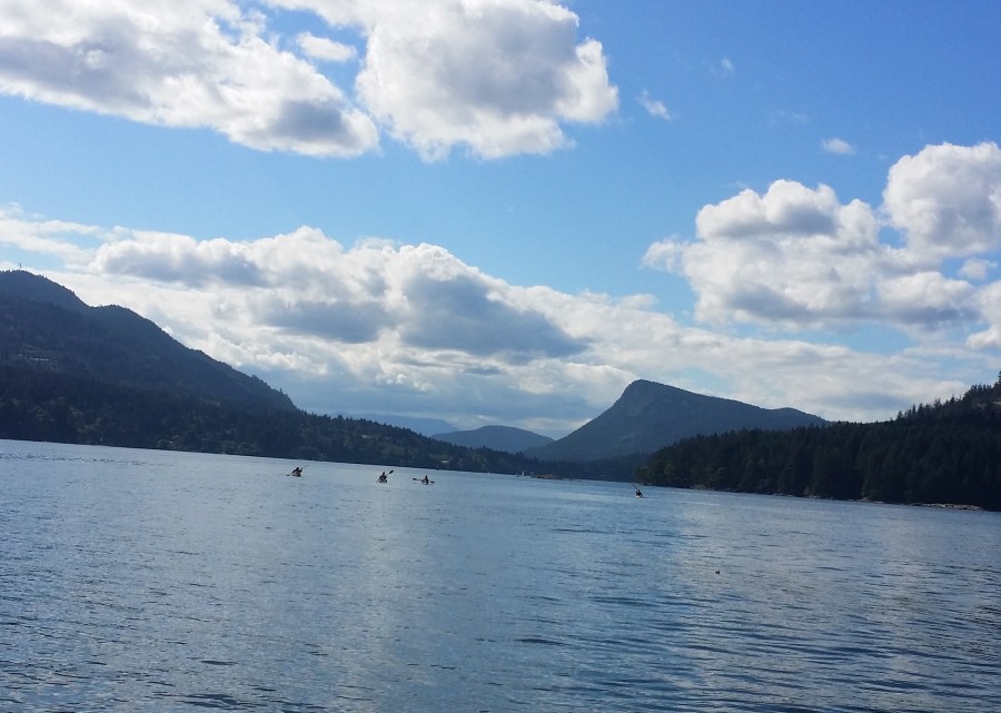 Kayakers near Salt Spring