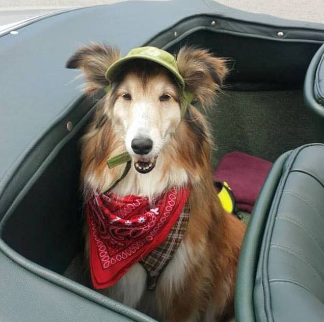 He might wear a hat to keep the sun out of his eyes but he hates wearing a seatbelt.
