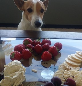 Jack eyes the homegrown strawberries after he ate a cherry (he spit out the pit)