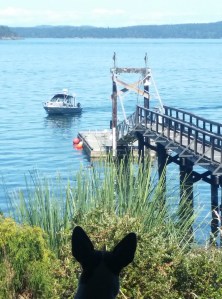 His spot waiting, waiting