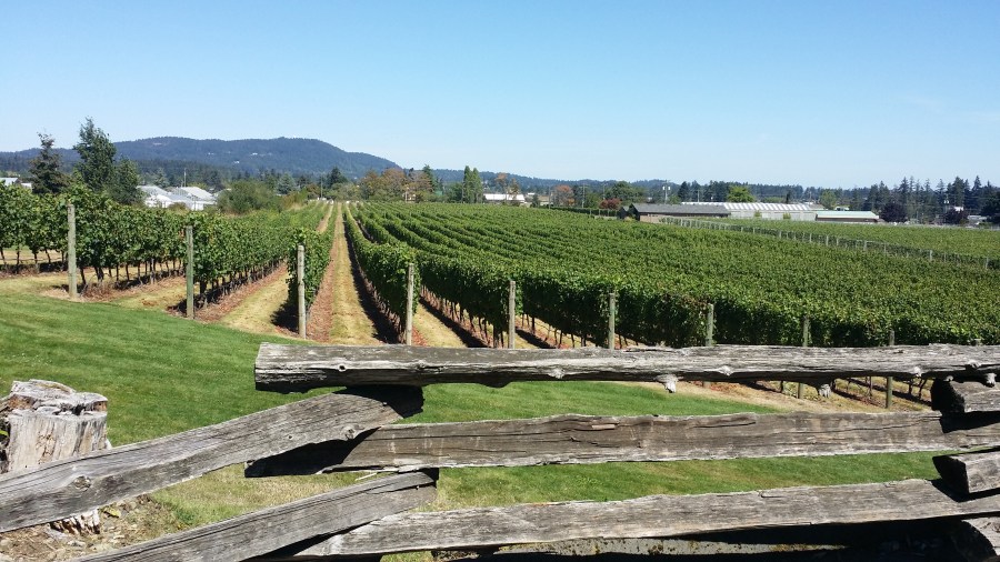 Church + State Vineyards