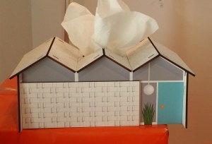 A modern kleenex box