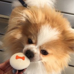 Everybody loves Cupcakes