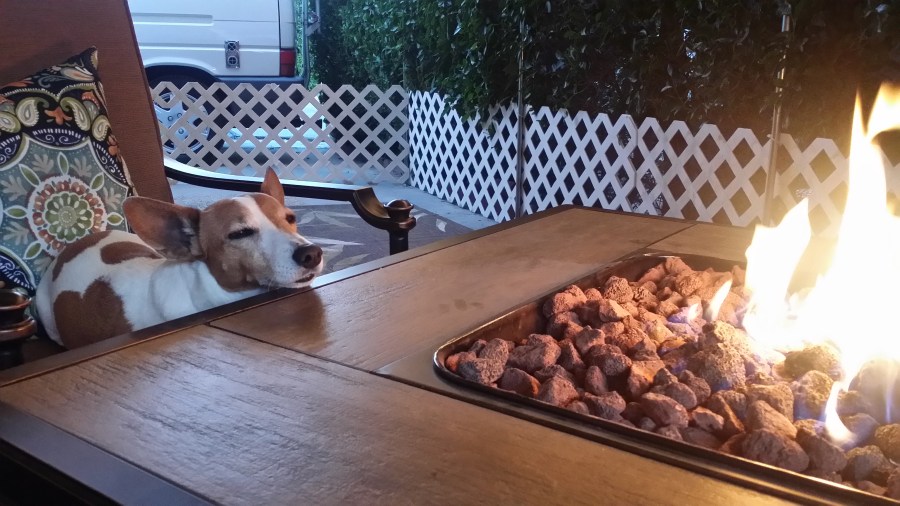 Jack enjoying the firepit (again).